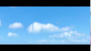 Wayfinding Pride from "We Know The Way" in Moana