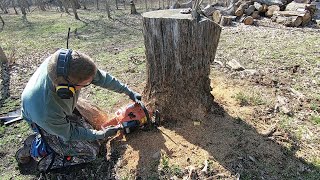 Tips for cutting tree stumps - Echo CS680