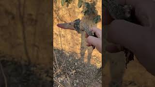 The tree-leaf food I encountered outdoors wishes everyone a happy 2025. Outdoor food, dead trees