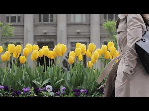 Flowers peaceful music