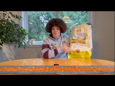 The Difference Between Medicated and Non Medicated Chick Feed