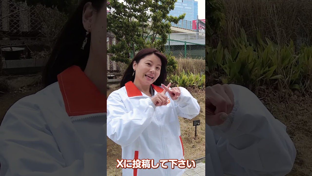 走らない日常も主役。「脱力系」RCフォトコンテスト開催！【#脱力系RCフォト】