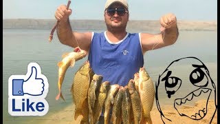 Ловля сазана в азербайджане