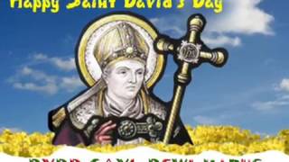 Song Of Saint David - Daffodil Day