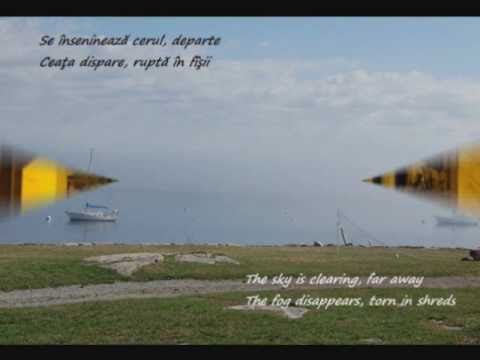 Aproape Linişte - Aura Urziceanu