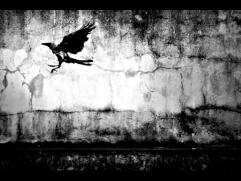 Aereogramme - Living Backwards