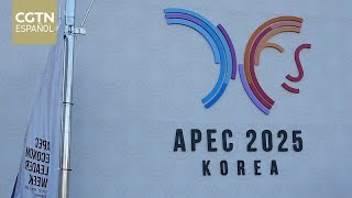 Expertos de Honduras hablan sobre APEC 2025