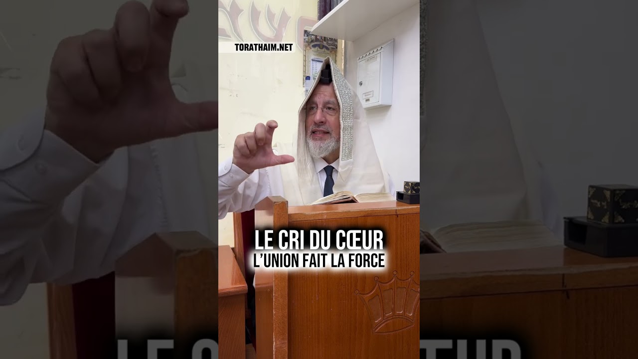 Le cri du cœur ♥️  L’union fait la force 💪🏼