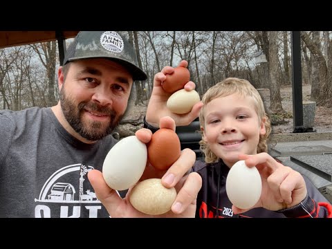 Goose vs Duck vs Chicken Egg Taste Testing