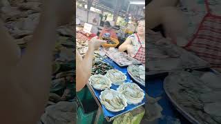 Download lagu #shortfeed mp3 Download lagu #shortfeed mp3