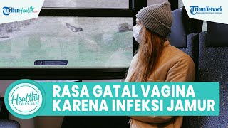 Hati-hati! Rasa Gatal pada Vagina Bisa Jadi Infeksi Jamur, Begini Cara Cegah Bakteri Lactobacillus