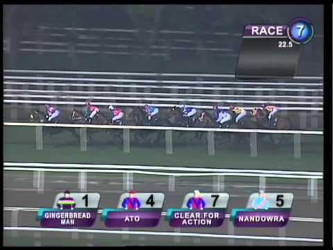 Singapore Guineas 2011 (Gingerbread Man)