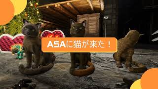 【ASA・猫】エイプリルフールじゃないよ！本当に猫実装🐈　早速、テイムしてきました【公式PvE・Cat】