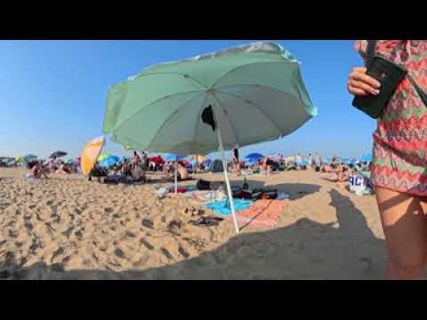 🏝 I found the perfect beach! | VR 360° Journey | Go With Me 360