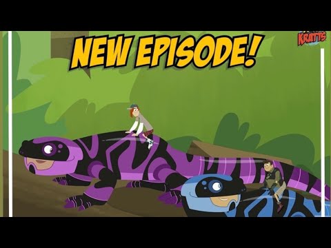 Wild Kratts Salamander Streaming | Full Episode