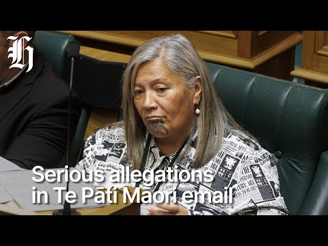 Serious allegations against Te Pāti Māori MP and her son emailed to members | Herald NOW