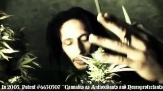 Julian Marley-Boom Draw Smoke Weed