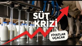 ŞAP HASTALIĞI Hayvancılığı Bitiriyor mu? Ankara'dan Bursa'ya Kritik Bö