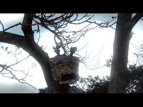 Kid Kozy - Scars (Official Video)