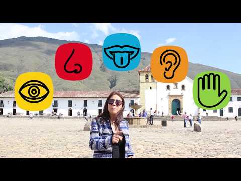 LA IMPORTANCIA DE LOS OJOS