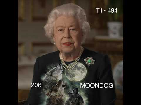 Tii 0494 - iOS 13.4.1, iOS 13.4.5 Beta 1 and 2, iPhone SE 2nd Gen