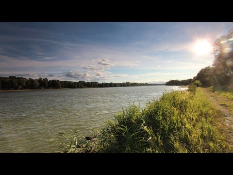 Lisa entdeckt ...  die Donau