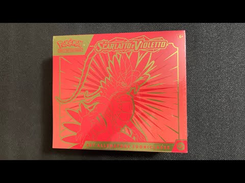 Scarlatto e violetto set allenatore fuoriclasse MIRAIDON