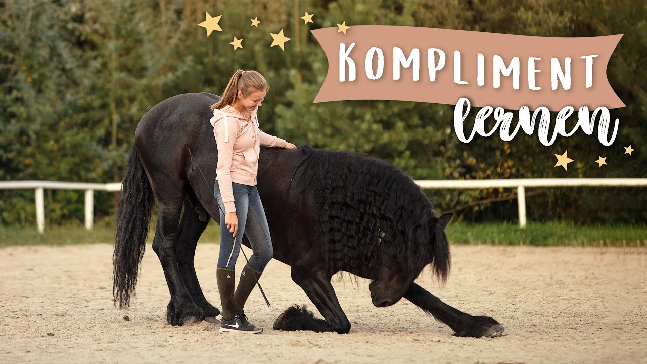 In 5 Schritten zum Kompliment | Vorübungen & Problemlösungen | Pilsali