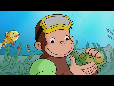 Ein Unterwasser-Affe | Coco der Neugierige | Cartoons für Kinder
