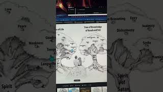 The Tree of knowledge of Good and Evil is not a Tree. Its a doctrine #shorts #short