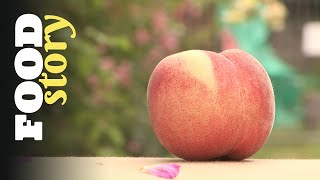 Thumbnail del capítulo