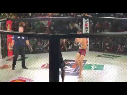 Momento do nocaute - Cristian Silva. NP Fight Brasil 9.