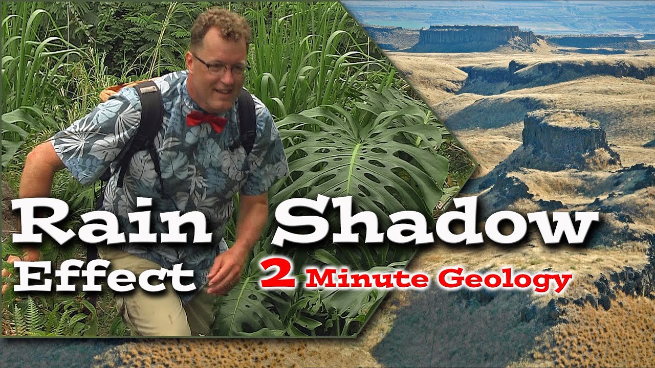 Woofy Rainshadow