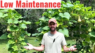 Why We Never (almost) Weed or Water our Garden.  Here is Why...