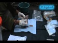 The Tambopata Macaw Project Talk