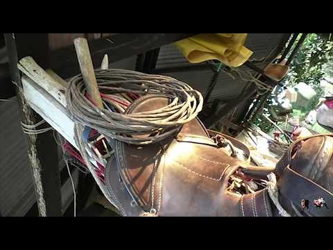 Pa’ Carimagua - Villamil Torres “El Azulejo del Llano"