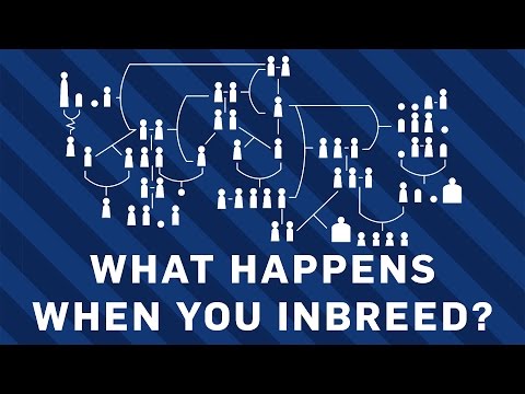 What are the effects of inbreeding? | BBC Earth
