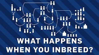 What Happens When You Inbreed? - Brit Lab