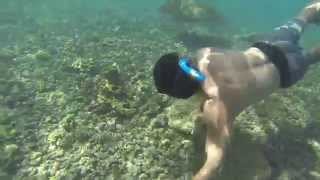 preview picture of video 'GOPR1267 Kauai Outdoor Adventures and Tours Snorkel Tour'