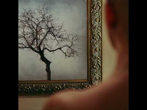 video frame placeholder