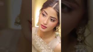 Hand Embroidered Glass Silk Designer Sharara with Hand Painted Dupatta - Video 3
