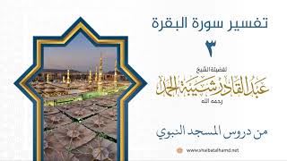 تفسير سورة البقرة (3) تابع تفسير الآية 183 | الشيخ عبدالقادر شيبة الحمد image