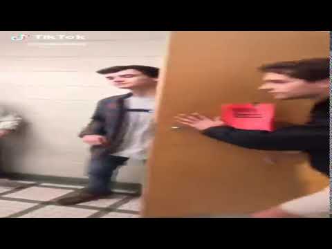 me when timaeus dreams