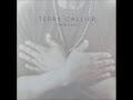 Terry Callier - Coyote Moon