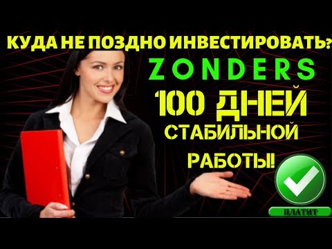 КУДА МОЖНО ИНВЕСТИРОВАТЬ? ⚡ZONDERS⚡ 100 дней работы