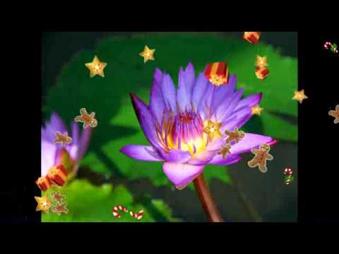 Excellos Five (1926) - Bouquet