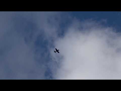 Advanced Free Known Sequence Borovik (Russian Nationals 2018)