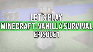 MINECRAFT: Vanilla Survival Let's Play Ep. 1 | FULL IRON ARMOR!!! | PC (60 FPS)