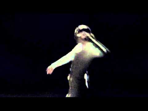 D.A.N. - Native Dancer (Official Video)