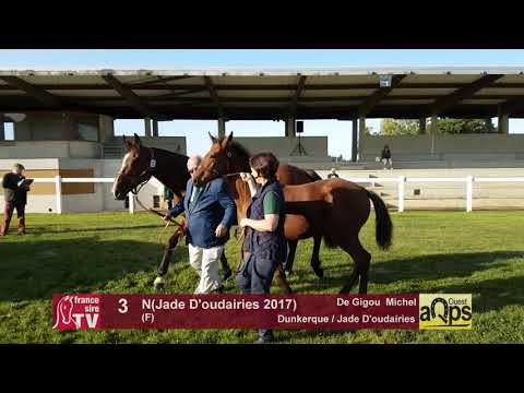 Show AQPS Lion 2017 : Lot 3 - N(Jade D'oudairies 2017)